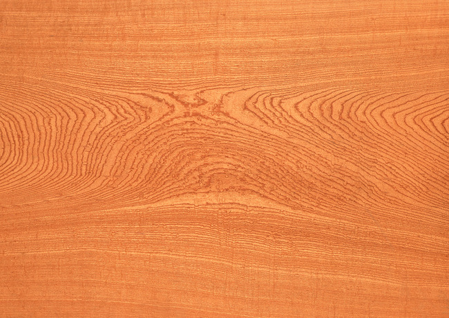 2010板材行业趋势预测看好实木板材